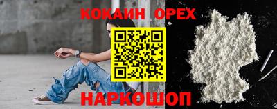 гидра Гатчина