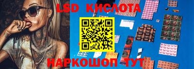 гидра Гатчина
