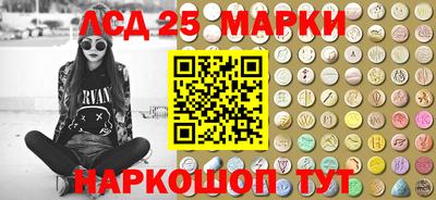 гидра Гатчина